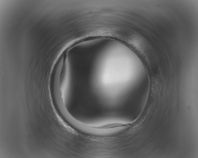 X0000080110942200612151643
