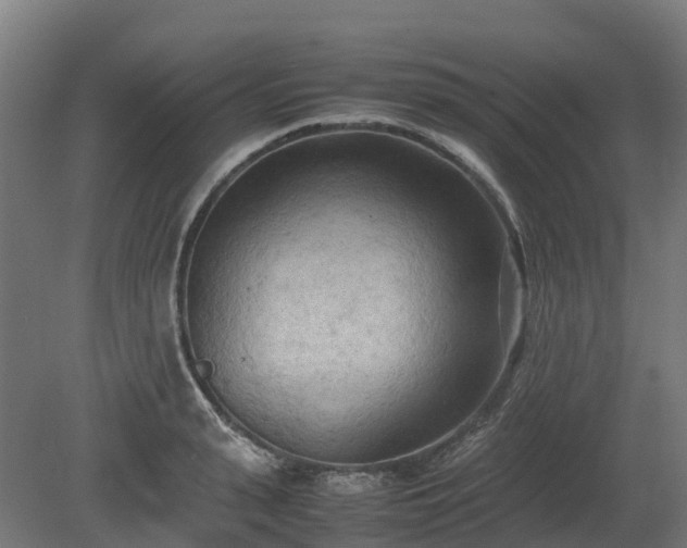 X0000080110943200612151643