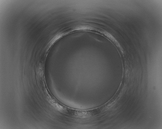 X0000080110945200612151643