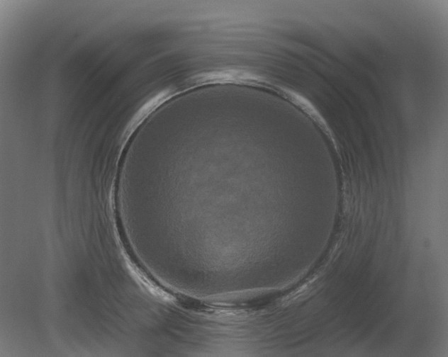 X0000080110946200612151643