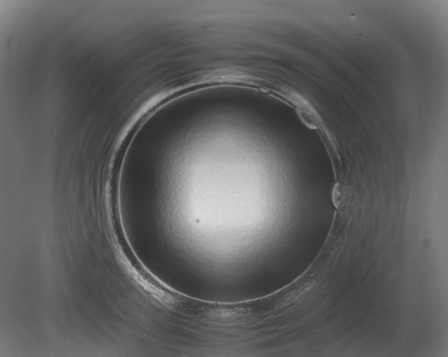 X0000080110947200612151643