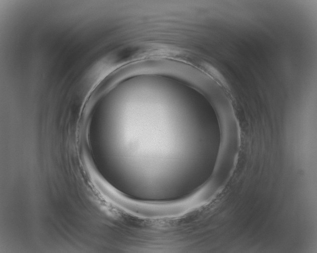 X0000080110948200612151643