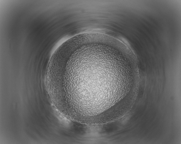 X0000080110952200612151643
