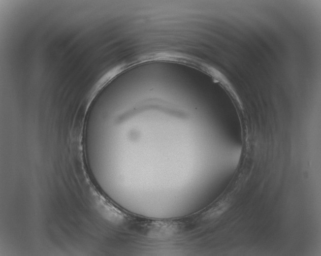 X0000080110954200612151643