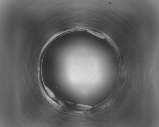 X0000080110955200612151643