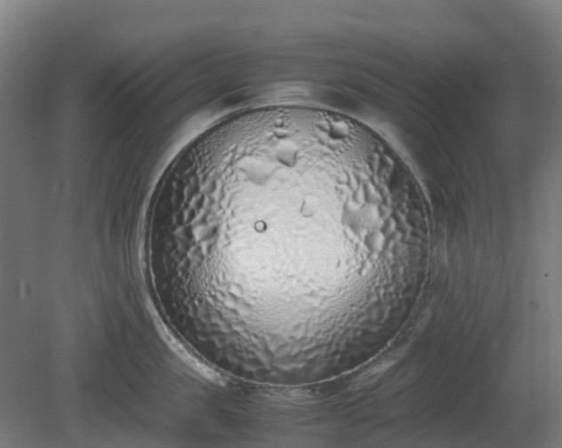 X0000080110957200612151643
