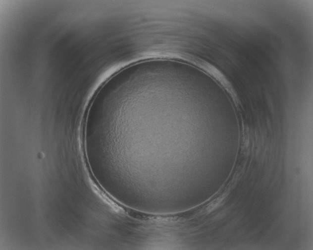 X0000080110958200612151643