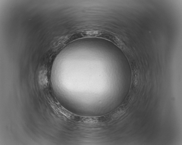 X0000080110962200612151643