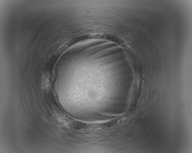 X0000080110963200612151643