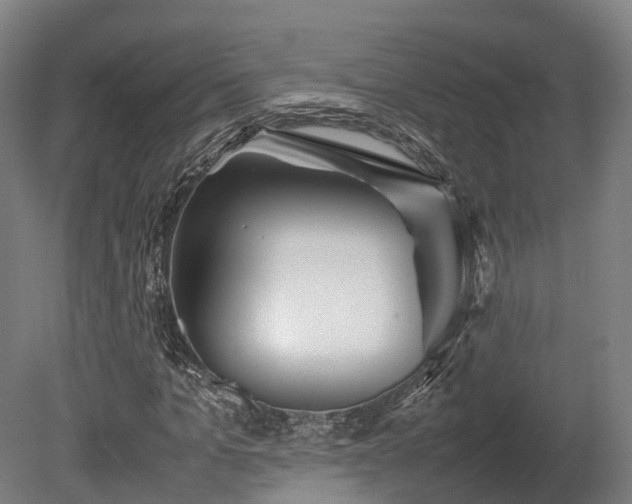 X0000080110965200612151642