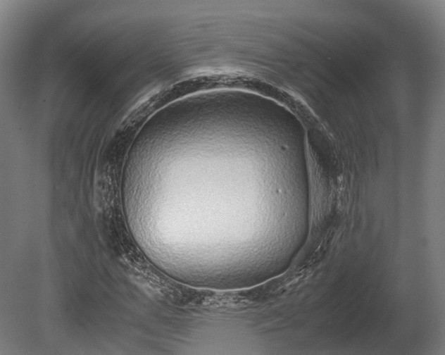 X0000080110967200612151642
