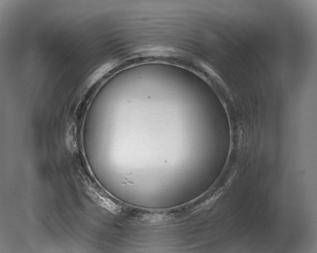 X0000080110970200612151642
