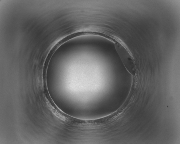 X0000080110980200612151642