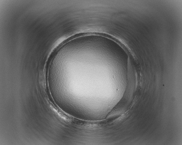 X0000080110982200612151642