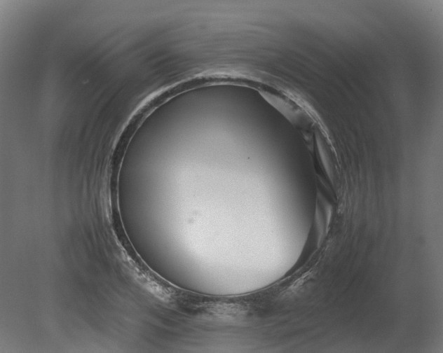 X0000080110984200612151642