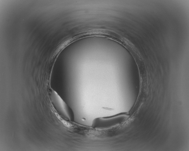 X0000080110985200612151642