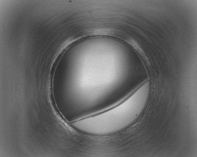 X0000080110992200612151642