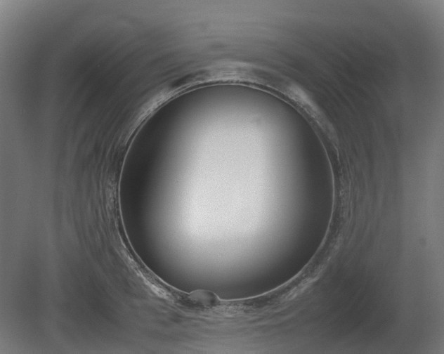 X0000080110993200612151642