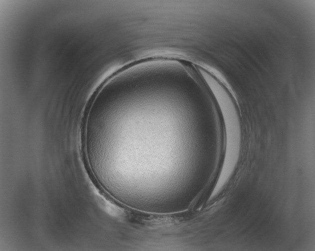 X0000080110999200612151642