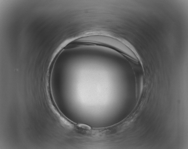 X0000080111005200612151642