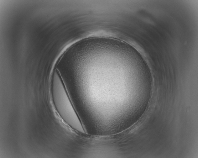 X0000080111008200612151642