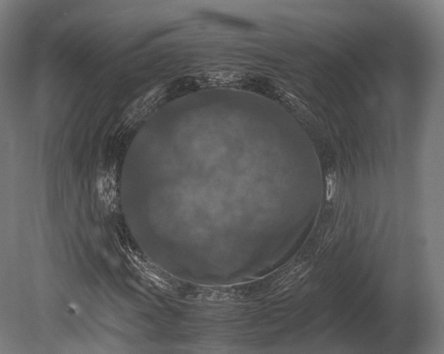 X0000080111011200612151641