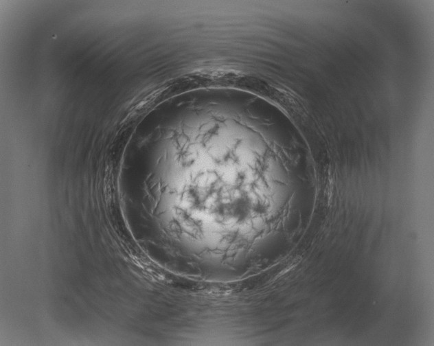 X0000080111014200612151641
