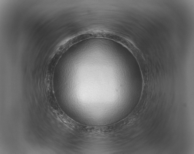X0000080111016200612151641