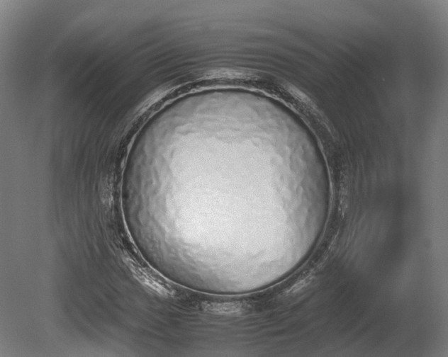 X0000080111017200612151641