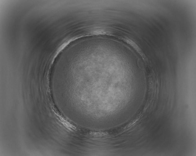 X0000080111023200612151641