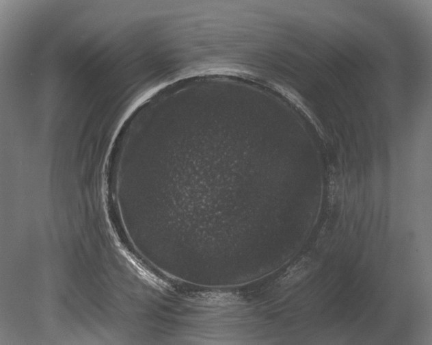 X0000080111024200612151641