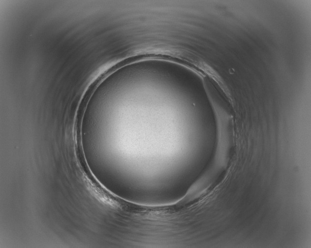 X0000080111028200612151641