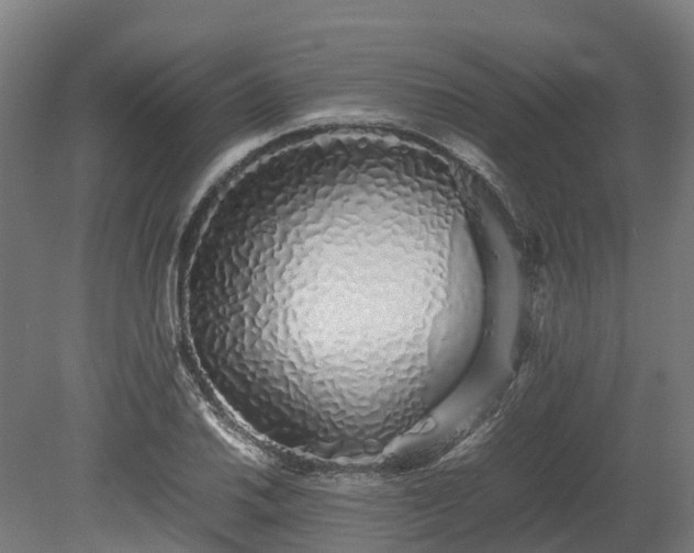 X0000080111030200612151641