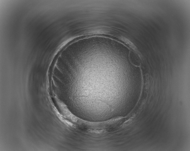 X0000080111031200612151641