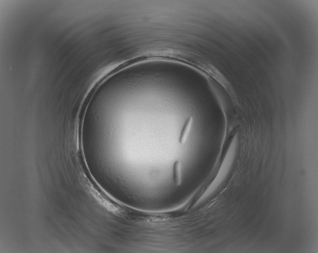 X0000080111036200612151641