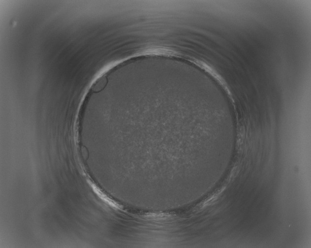 X0000080111037200612151641