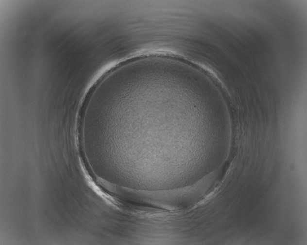 X0000080111038200612151641
