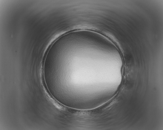 X0000080111040200612151641