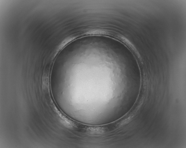 X0000080111041200612151641