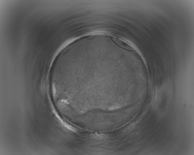 X0000080111045200612151642