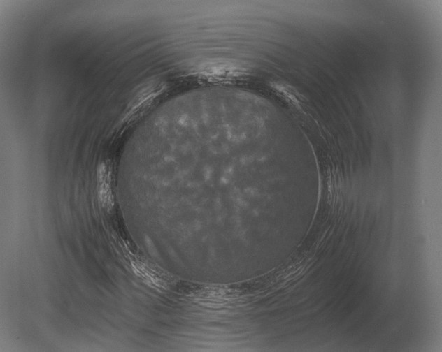 X0000080111060200612151641