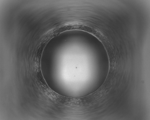 X0000080111062200612151641