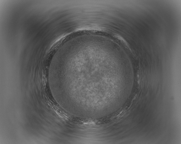 X0000080111064200612151641