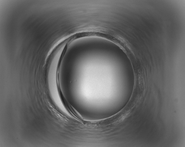 X0000080111069200612151641
