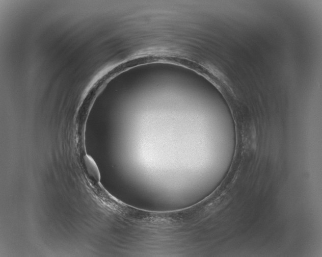 X0000080111070200612151641