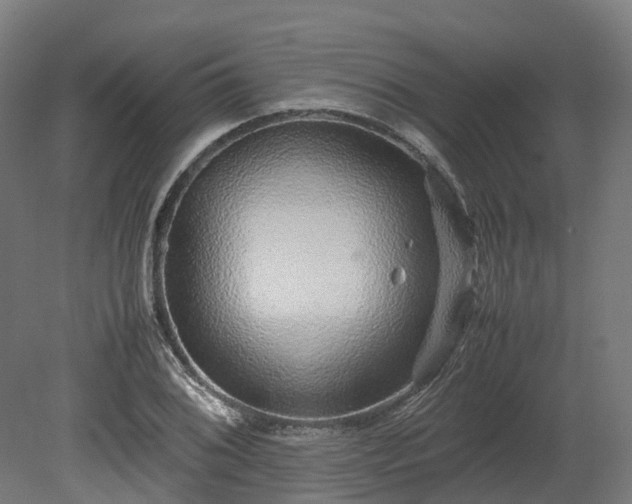 X0000080111076200612151641