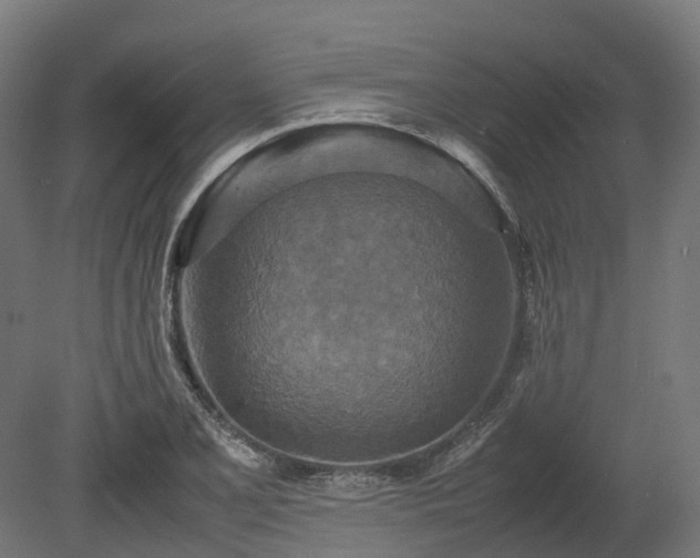 X0000080111077200612151641