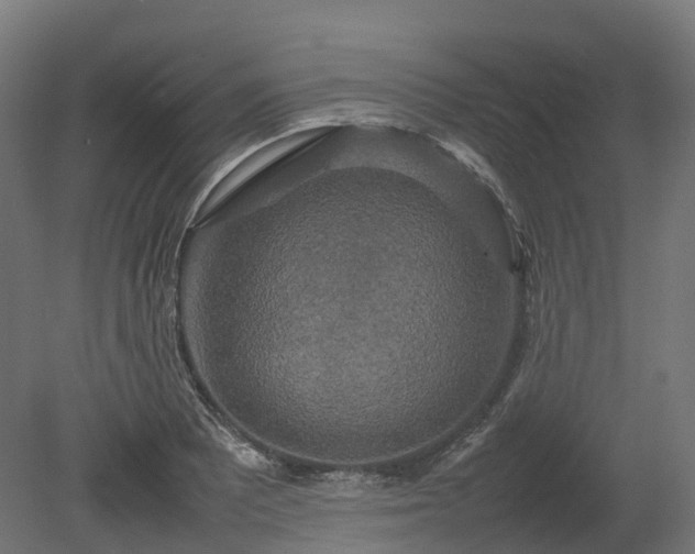 X0000080111081200612151641