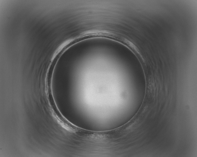 X0000080111082200612151641