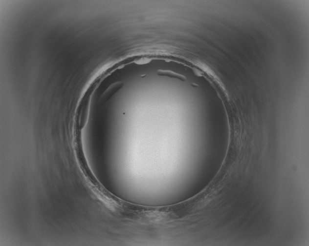X0000080111085200612151640